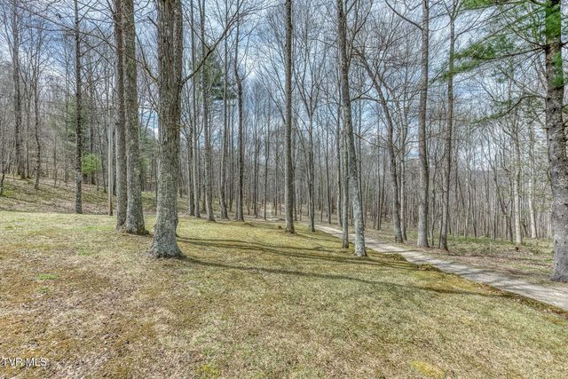 501 Two Branch Lane, Mountain City, TN 37683