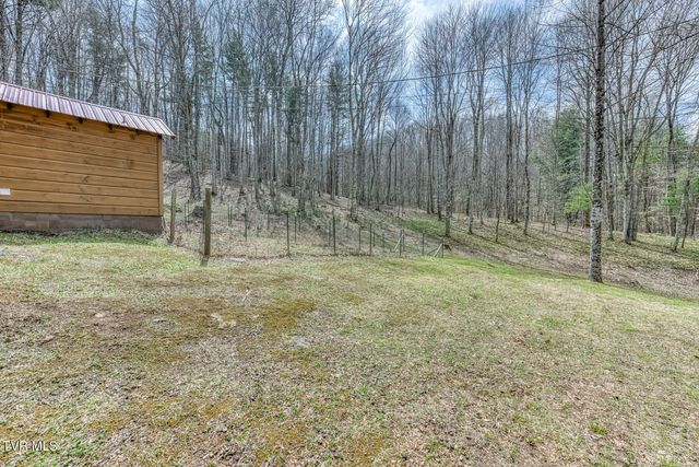 501 Two Branch Lane, Mountain City, TN 37683