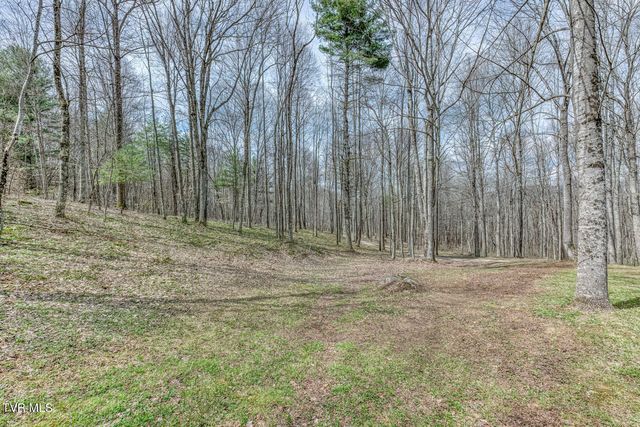 501 Two Branch Lane, Mountain City, TN 37683