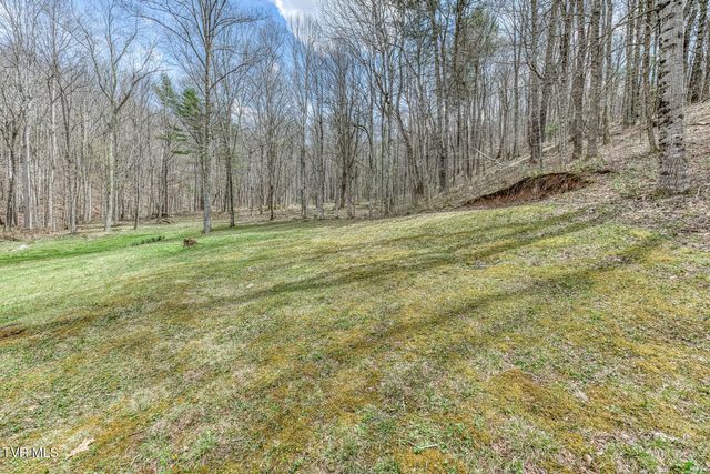 501 Two Branch Lane, Mountain City, TN 37683