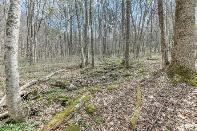 501 Two Branch Lane, Mountain City, TN 37683