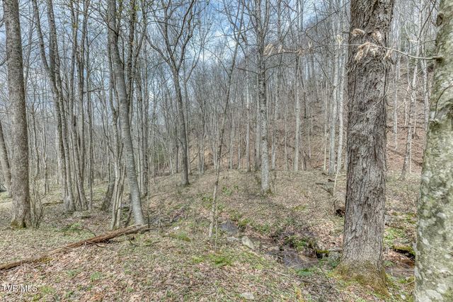 501 Two Branch Lane, Mountain City, TN 37683