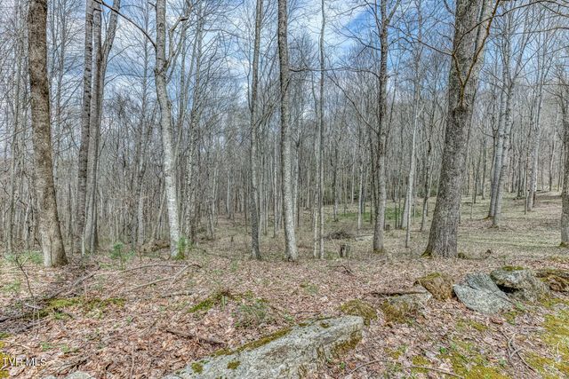 501 Two Branch Lane, Mountain City, TN 37683
