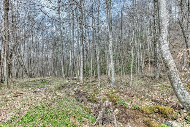 501 Two Branch Lane, Mountain City, TN 37683