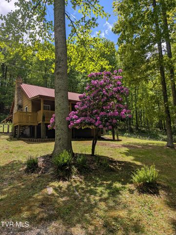 501 Two Branch Lane, Mountain City, TN 37683