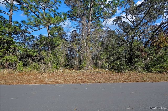 87 Cypress Circle, Homosassa, FL 34446