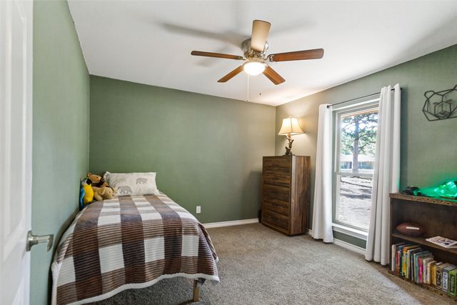 114 Starlite Drive, Murphy, TX 75094