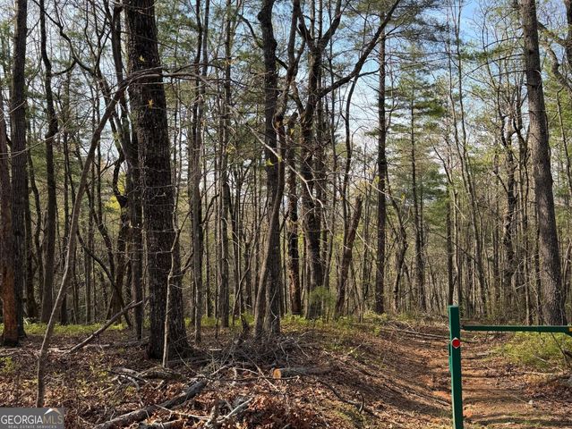 552 Long Laurel Ridge 6.65 acres LOT 2, Lakemont, GA 30552