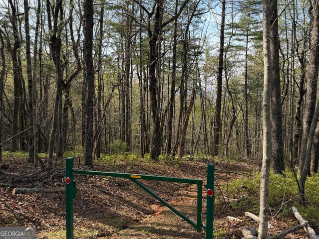 552 Long Laurel Ridge 6.65 acres LOT 2, Lakemont, GA 30552