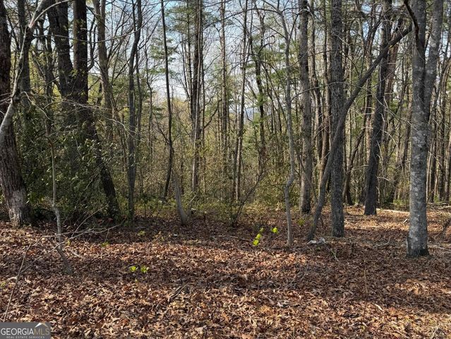 552 Long Laurel Ridge 6.65 acres LOT 2, Lakemont, GA 30552