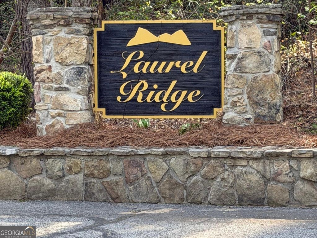 552 Long Laurel Ridge 6.65 acres LOT 2, Lakemont, GA 30552