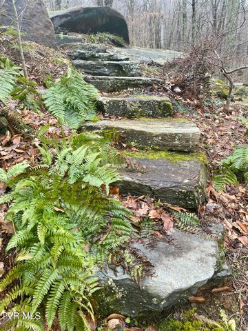 117 Toms Creek Drive, Roan Mountain, TN 37687