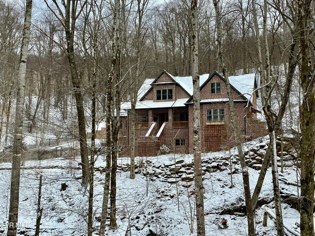 117 Toms Creek Drive, Roan Mountain, TN 37687