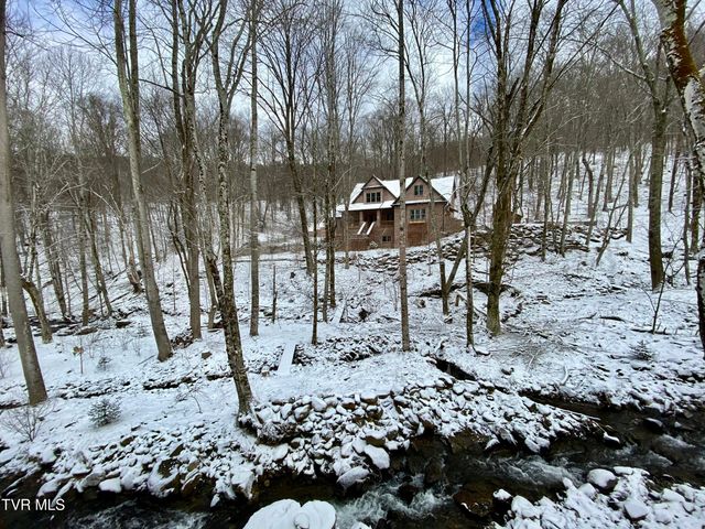 117 Toms Creek Drive, Roan Mountain, TN 37687