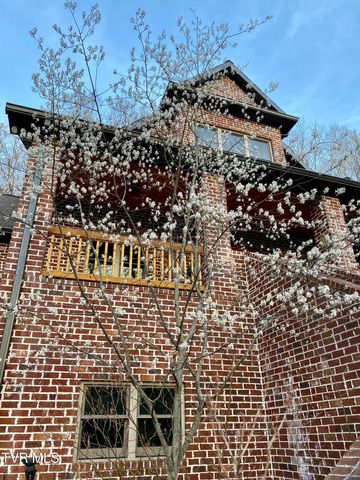 117 Toms Creek Drive, Roan Mountain, TN 37687
