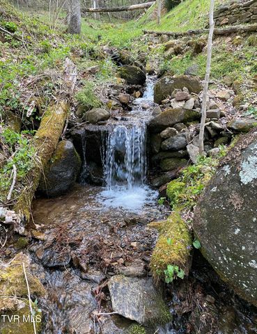117 Toms Creek Drive, Roan Mountain, TN 37687