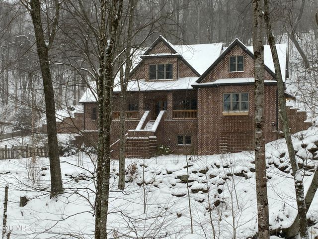117 Toms Creek Drive, Roan Mountain, TN 37687