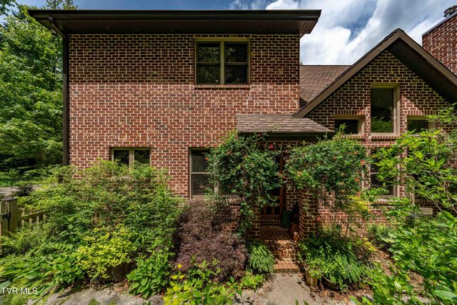 117 Toms Creek Drive, Roan Mountain, TN 37687