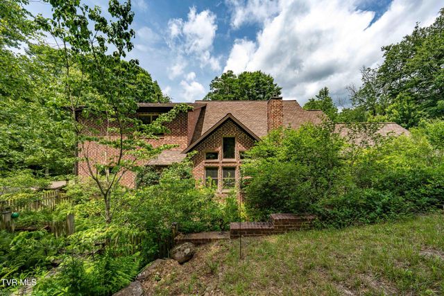 117 Toms Creek Drive, Roan Mountain, TN 37687