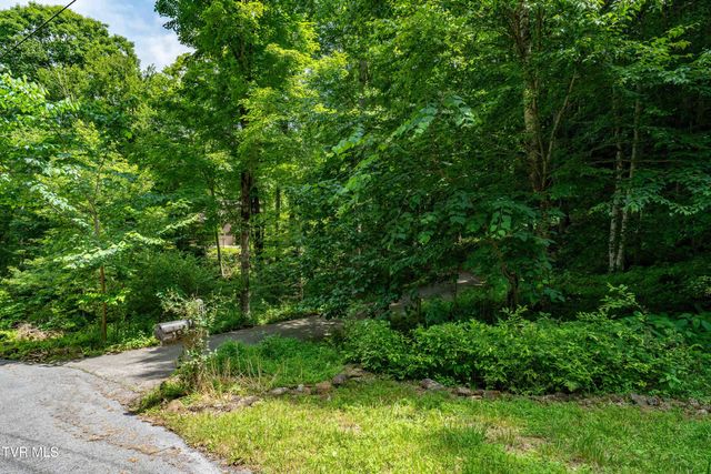 117 Toms Creek Drive, Roan Mountain, TN 37687