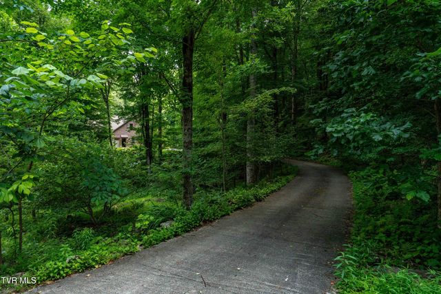 117 Toms Creek Drive, Roan Mountain, TN 37687