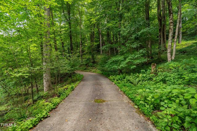 117 Toms Creek Drive, Roan Mountain, TN 37687