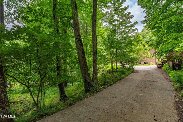 117 Toms Creek Drive, Roan Mountain, TN 37687