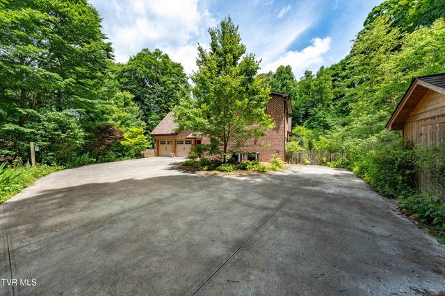 117 Toms Creek Drive, Roan Mountain, TN 37687