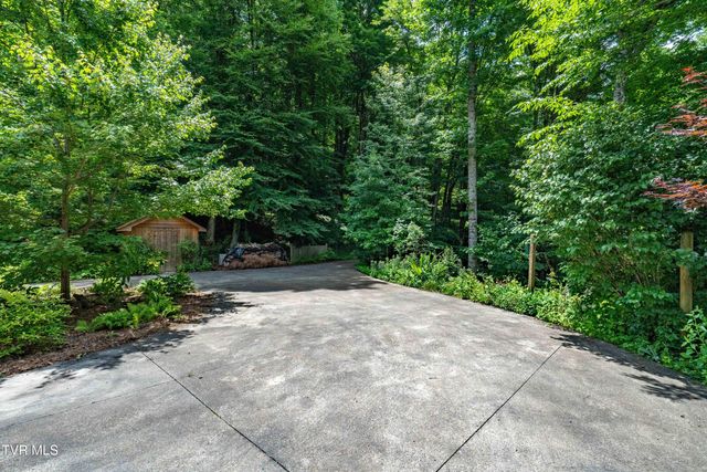 117 Toms Creek Drive, Roan Mountain, TN 37687