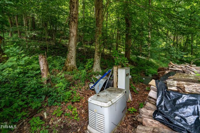 117 Toms Creek Drive, Roan Mountain, TN 37687