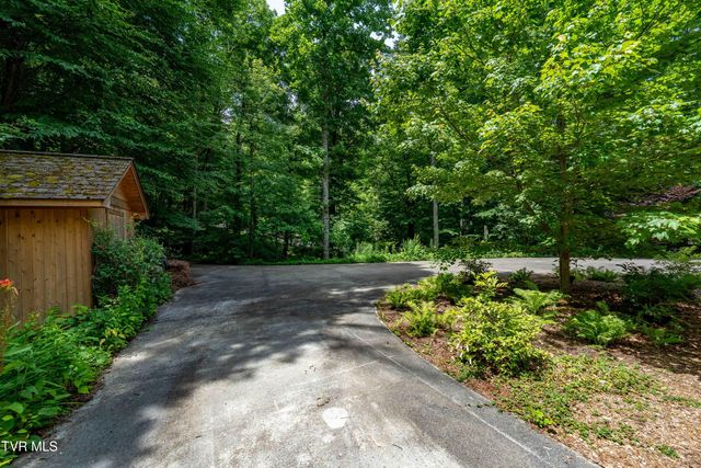 117 Toms Creek Drive, Roan Mountain, TN 37687