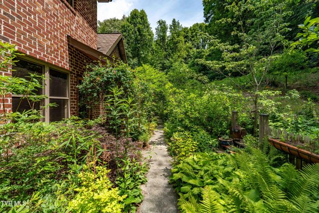 117 Toms Creek Drive, Roan Mountain, TN 37687