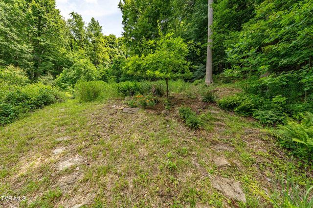 117 Toms Creek Drive, Roan Mountain, TN 37687
