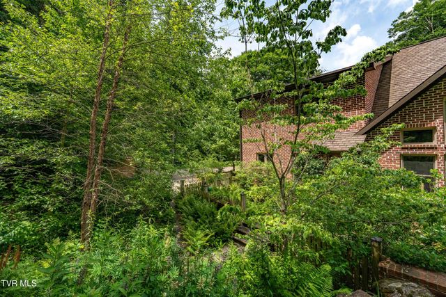 117 Toms Creek Drive, Roan Mountain, TN 37687