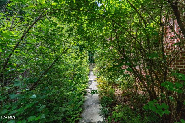 117 Toms Creek Drive, Roan Mountain, TN 37687