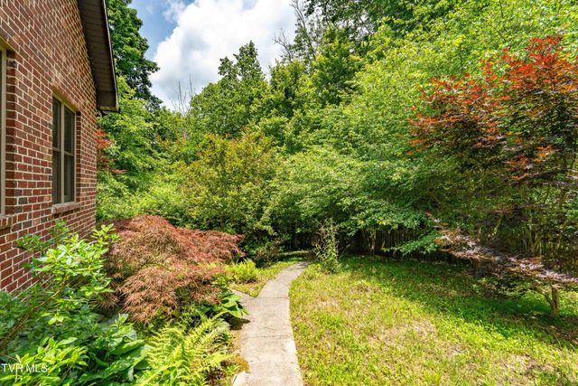 117 Toms Creek Drive, Roan Mountain, TN 37687