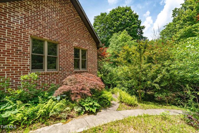 117 Toms Creek Drive, Roan Mountain, TN 37687