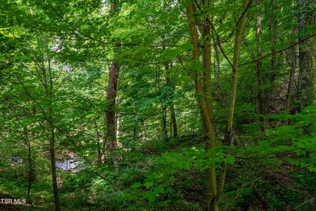 117 Toms Creek Drive, Roan Mountain, TN 37687