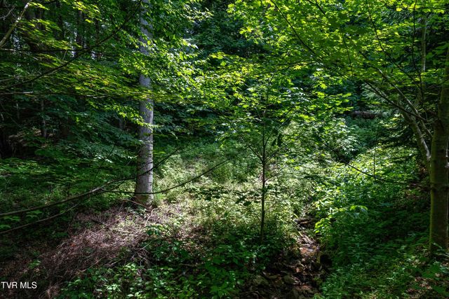 117 Toms Creek Drive, Roan Mountain, TN 37687