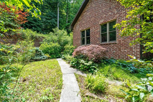 117 Toms Creek Drive, Roan Mountain, TN 37687