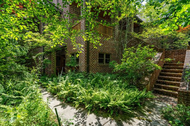 117 Toms Creek Drive, Roan Mountain, TN 37687