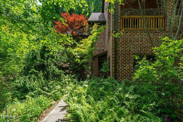 117 Toms Creek Drive, Roan Mountain, TN 37687