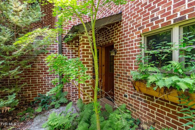 117 Toms Creek Drive, Roan Mountain, TN 37687