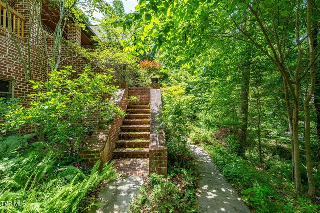 117 Toms Creek Drive, Roan Mountain, TN 37687