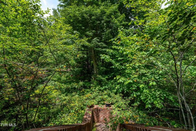 117 Toms Creek Drive, Roan Mountain, TN 37687