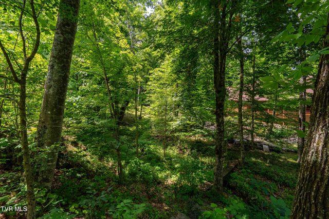 117 Toms Creek Drive, Roan Mountain, TN 37687