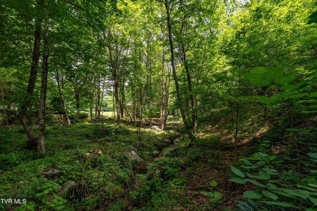 117 Toms Creek Drive, Roan Mountain, TN 37687