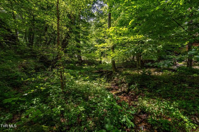 117 Toms Creek Drive, Roan Mountain, TN 37687
