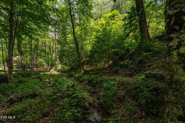117 Toms Creek Drive, Roan Mountain, TN 37687
