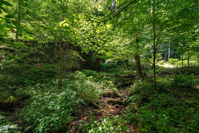 117 Toms Creek Drive, Roan Mountain, TN 37687